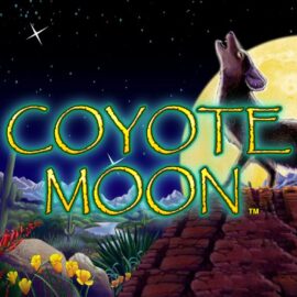 Coyote Moon