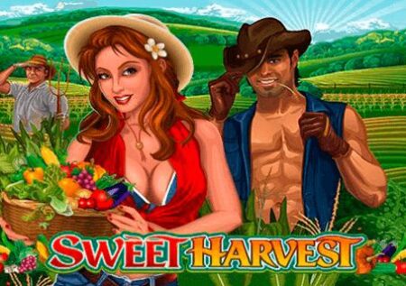 Sweet Harvest