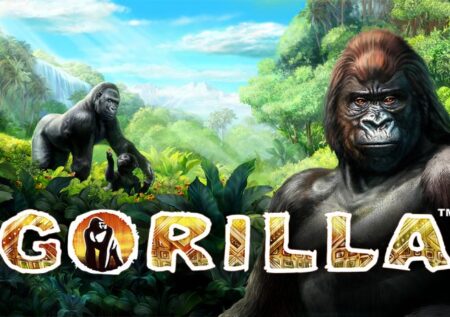 Gorilla