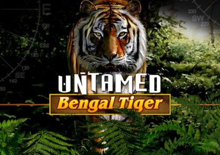 Untamed Bengal Tiger