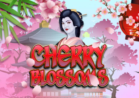 Cherry Blossoms