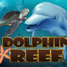 Dolphin Reef