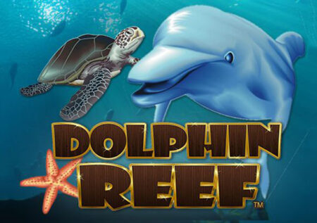 Dolphin Reef