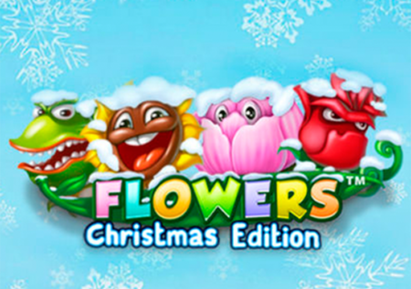 Flowers: Christmas Edition