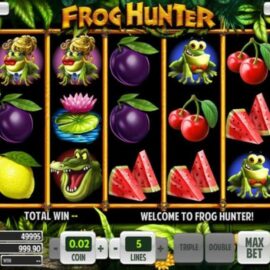Frog Hunter