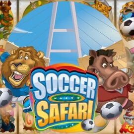 Soccer Safari