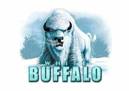 White Buffalo