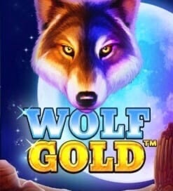 Wolf Gold