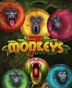 7 Monkeys