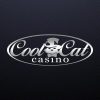Casino Cool Cat